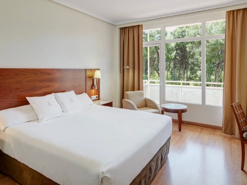 Habitaciones/Classic Double Room